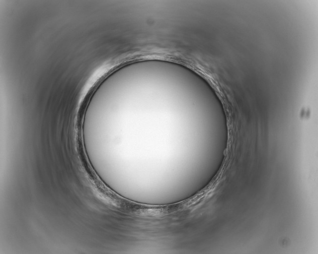 X0000091850102200709050944
