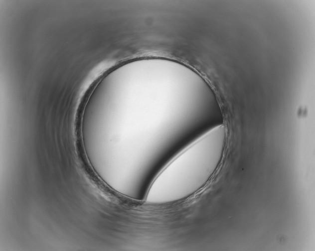 X0000091850104200709050944
