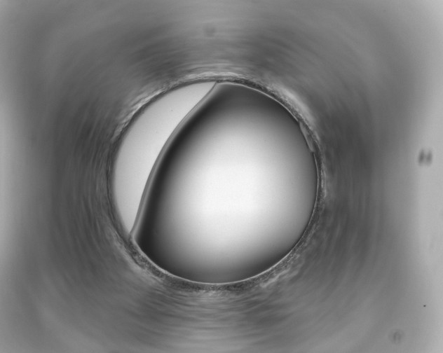 X0000091850105200709050944