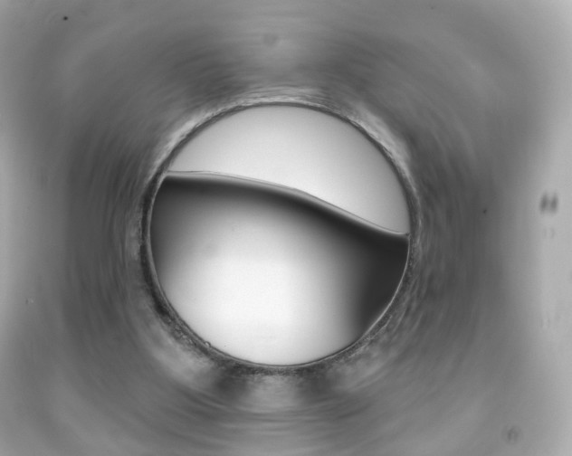 X0000091850107200709050944