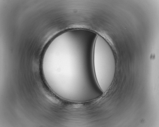 X0000091850108200709050944