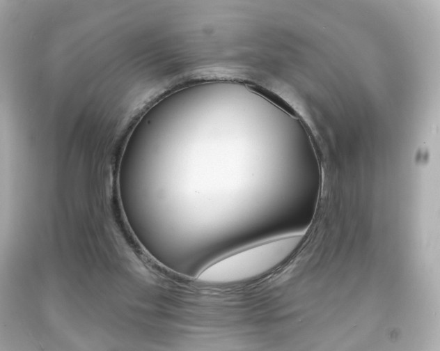 X0000091850109200709050944