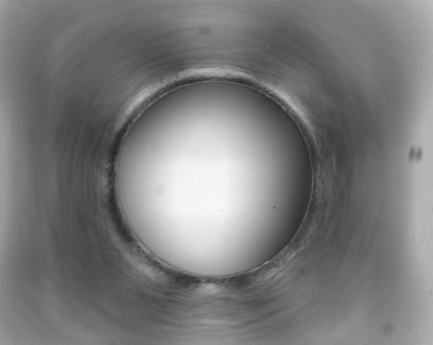 X0000091850111200709050944
