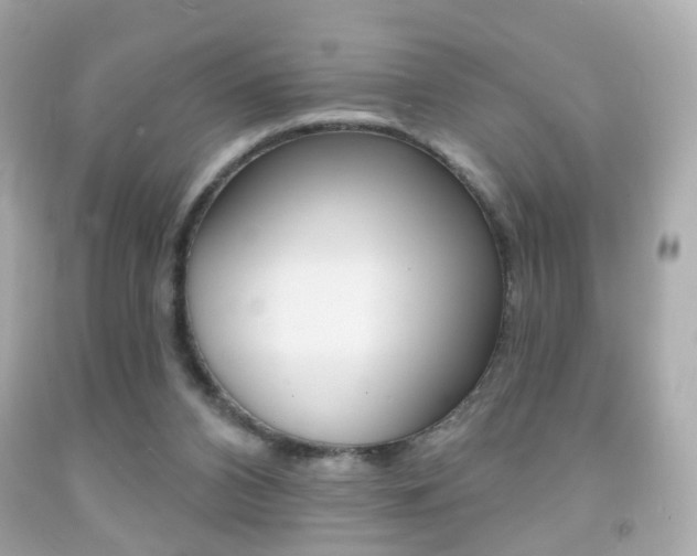 X0000091850112200709050944