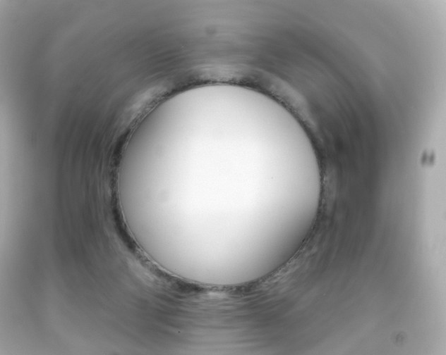 X0000091850114200709050944