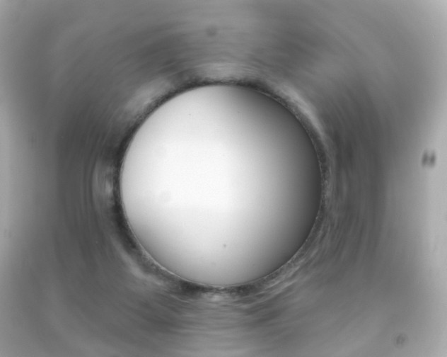 X0000091850115200709050944