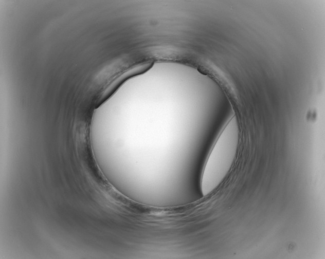 X0000091850117200709050944