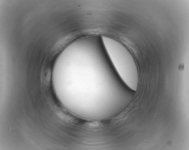 X0000091850118200709050944