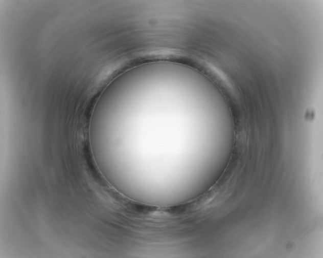 X0000091850119200709050944