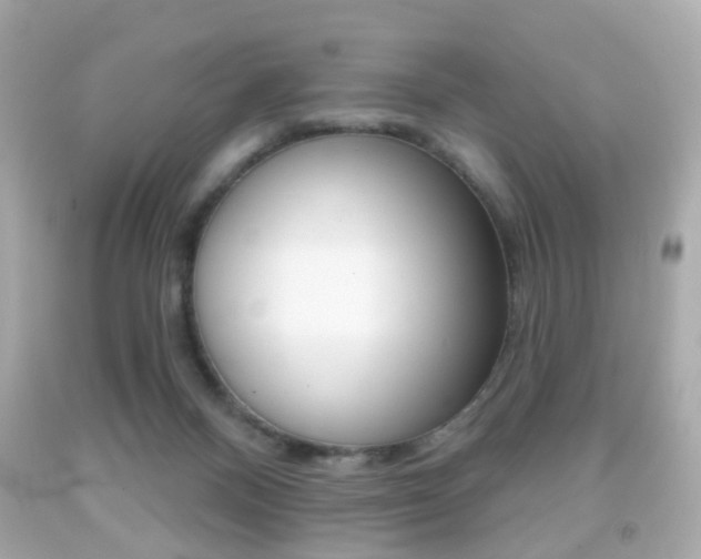 X0000091850120200709050944