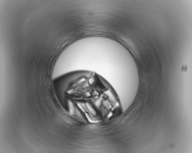 X0000091850121200709050944