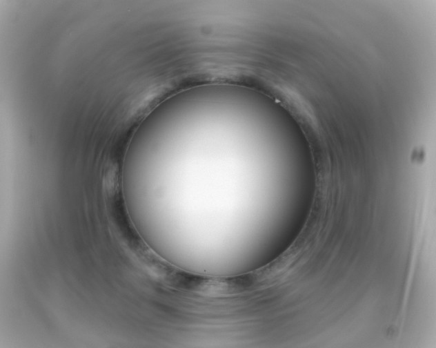 X0000091850123200709050943