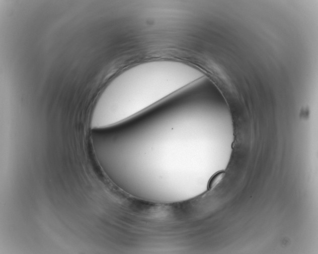 X0000091850124200709050943