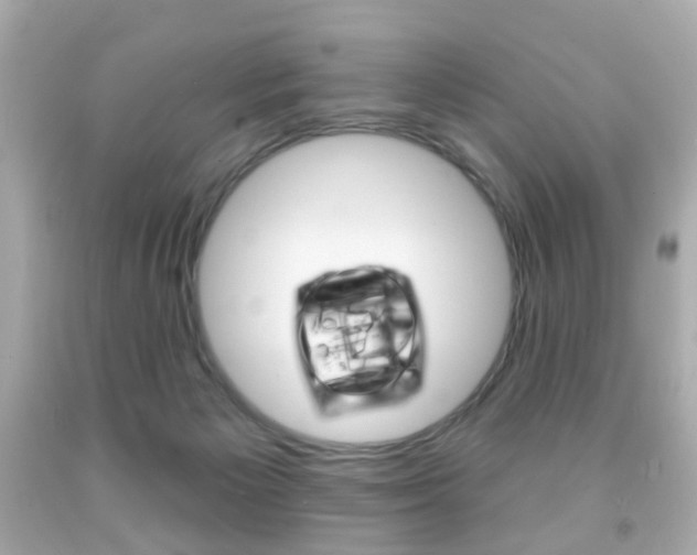 X0000091850125200709050943