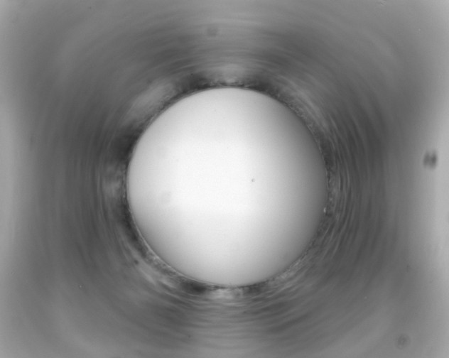 X0000091850126200709050943