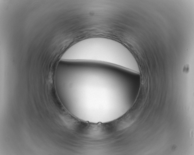 X0000091850127200709050943
