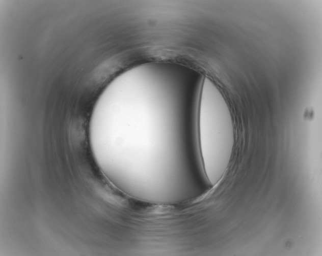 X0000091850128200709050943