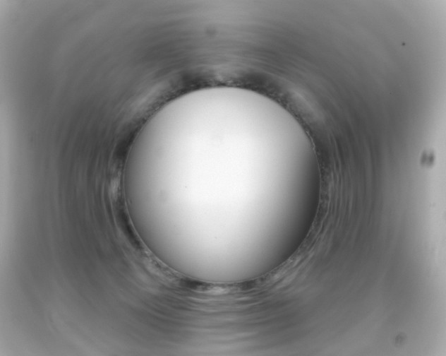 X0000091850129200709050943