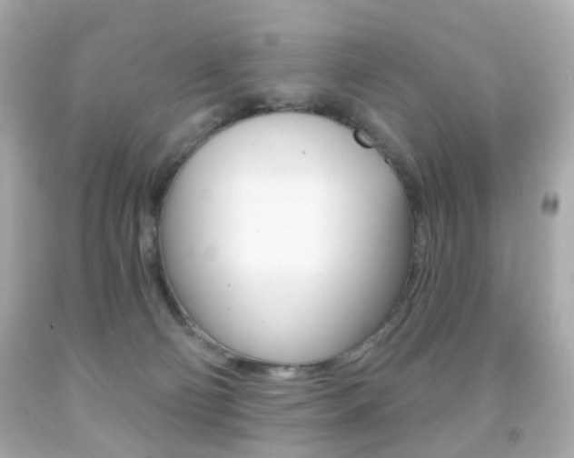X0000091850130200709050943