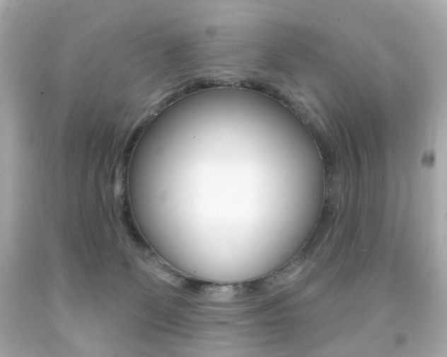 X0000091850131200709050943