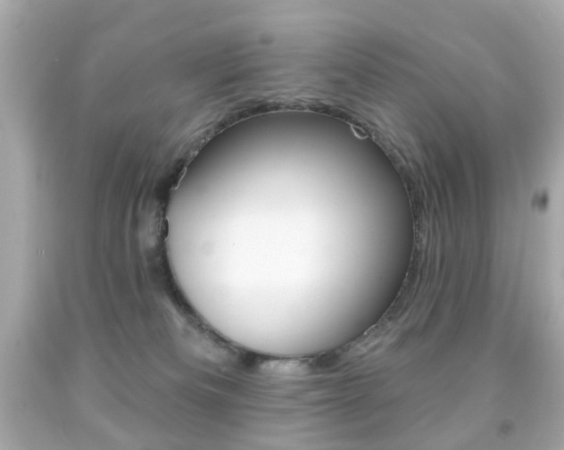 X0000091850133200709050943