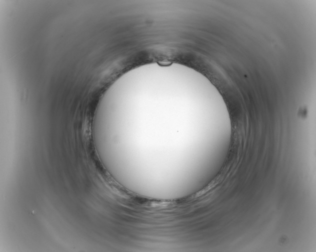 X0000091850134200709050943