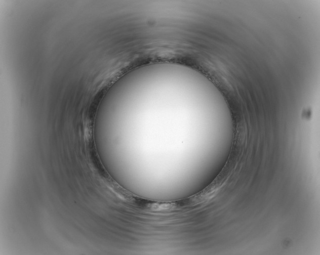 X0000091850135200709050943