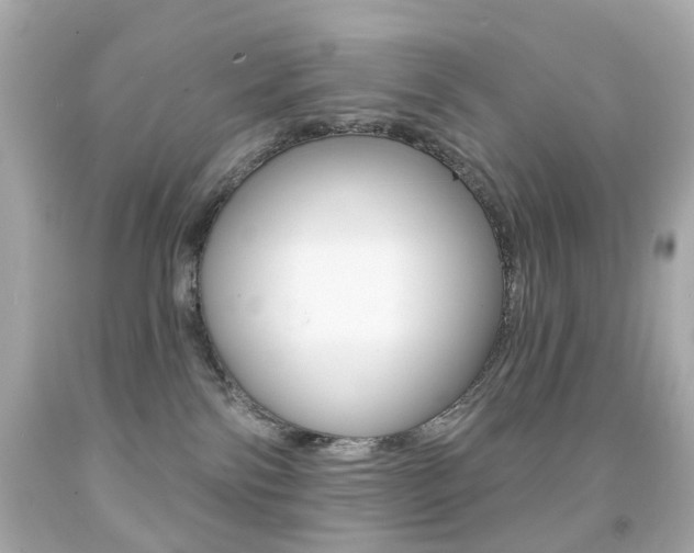 X0000091850138200709050943