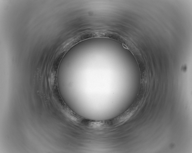 X0000091850139200709050943