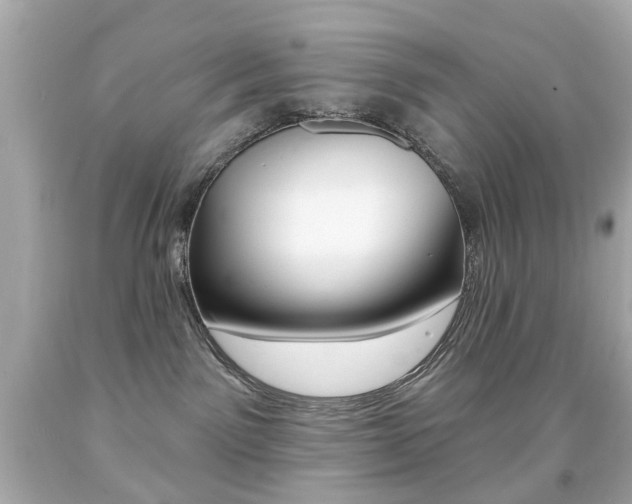 X0000091850141200709050943