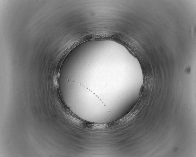 X0000091850143200709050943