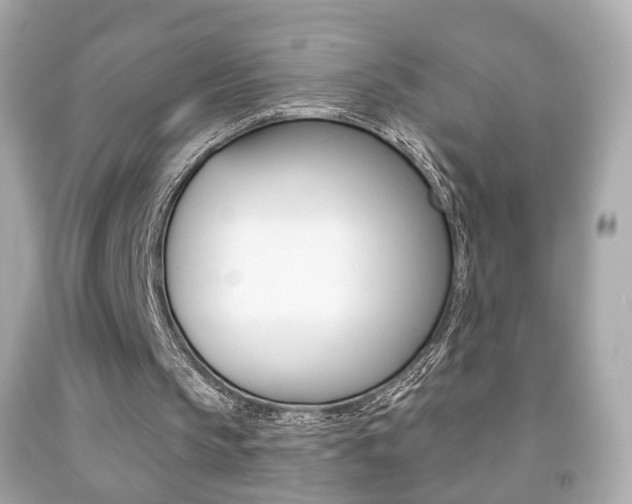X0000091850145200709050942