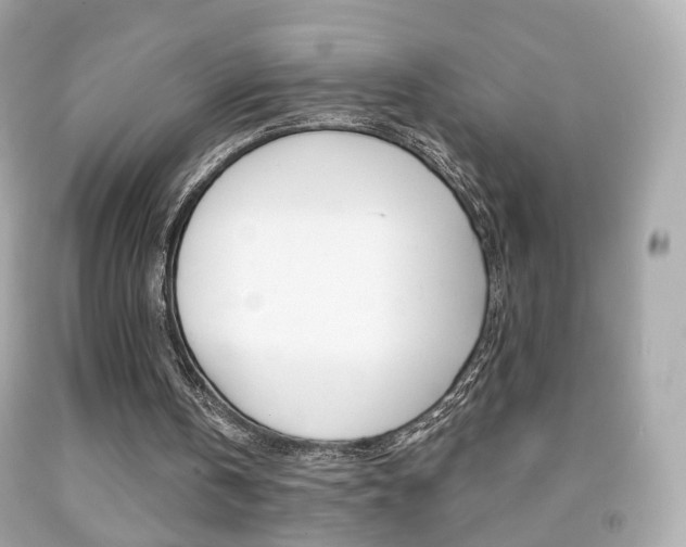 X0000091850146200709050942