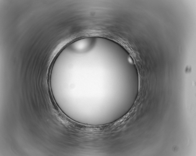 X0000091850147200709050942
