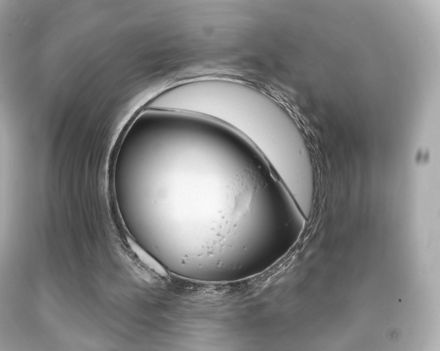 X0000091850148200709050942