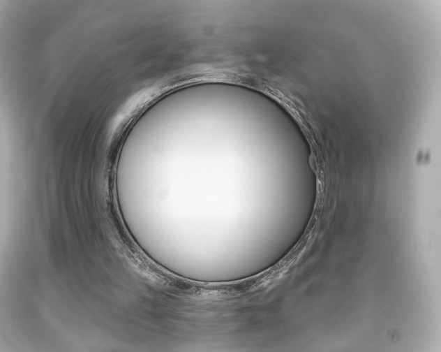 X0000091850149200709050942