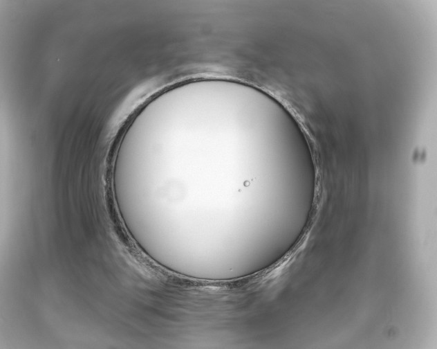 X0000091850151200709050943