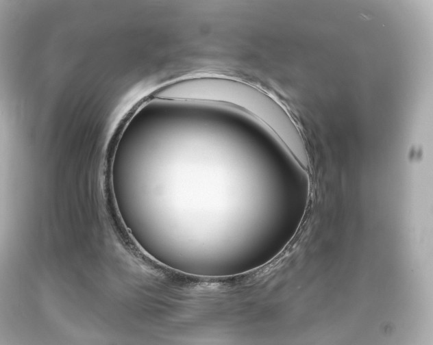 X0000091850152200709050943