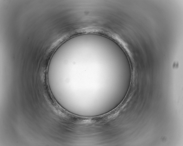 X0000091850153200709050943