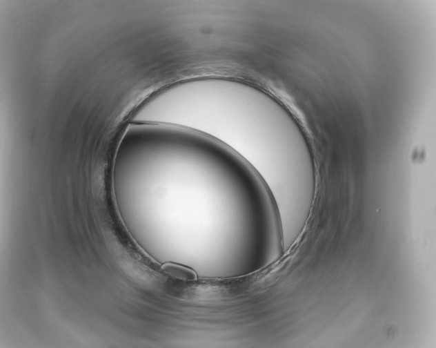 X0000091850154200709050943