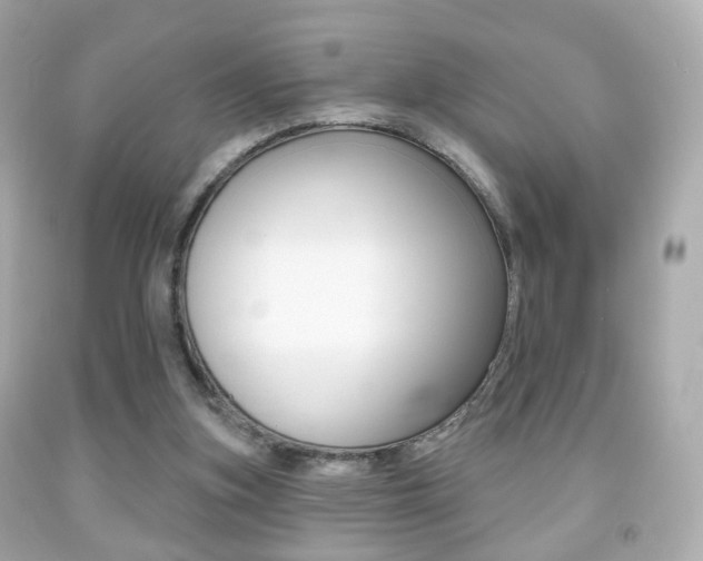 X0000091850155200709050943