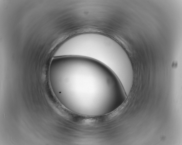 X0000091850158200709050943