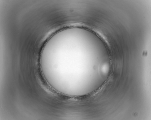 X0000091850159200709050943