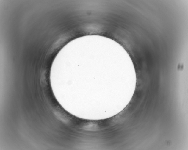 X0000091850162200709050943