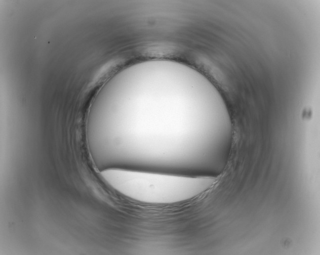 X0000091850163200709050943