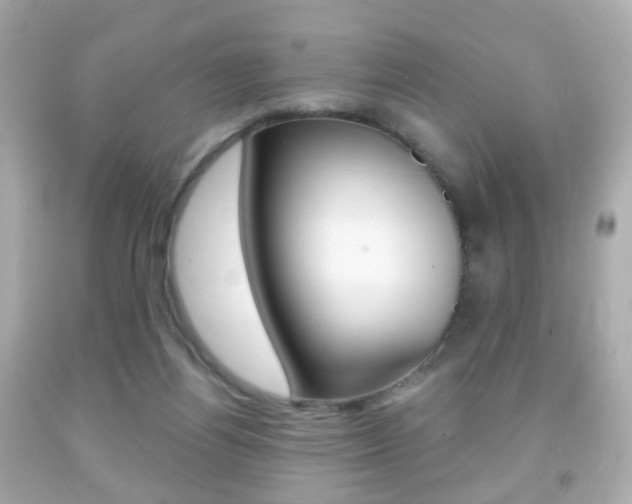 X0000091850164200709050943
