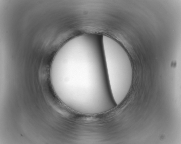 X0000091850165200709050943
