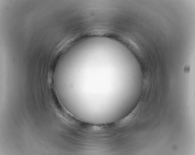 X0000091850166200709050943