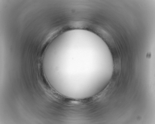 X0000091850167200709050943