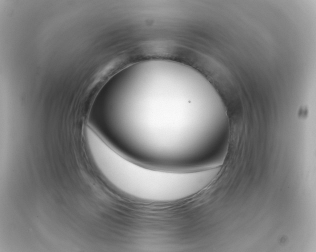 X0000091850168200709050943